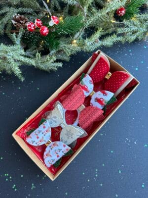 Plaukų segtukų ir gumyčių rinkinys