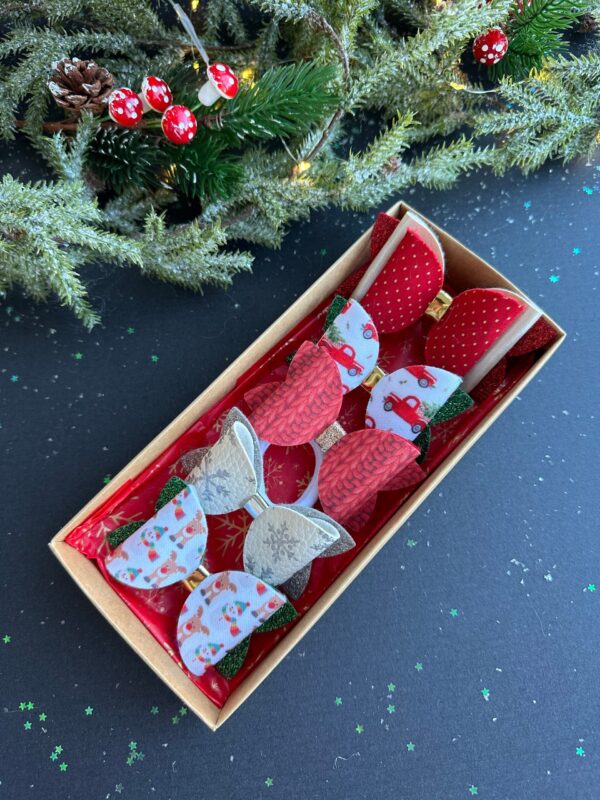 Plaukų segtukų ir gumyčių rinkinys