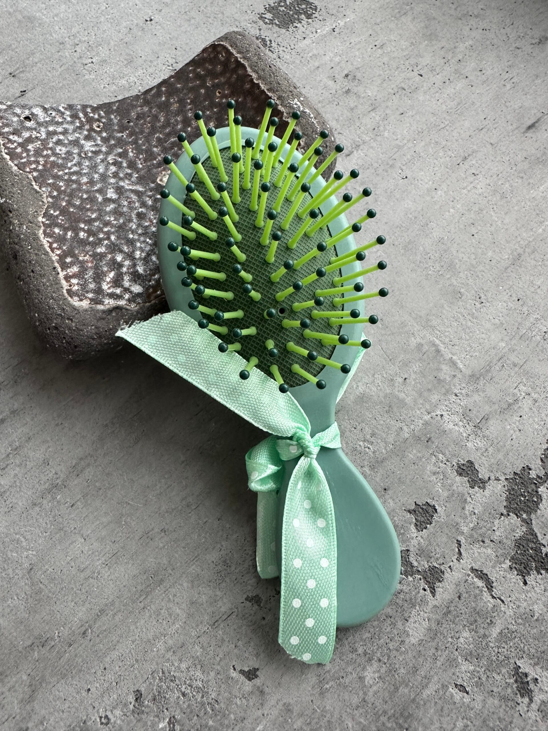 Plaukų šukos musė